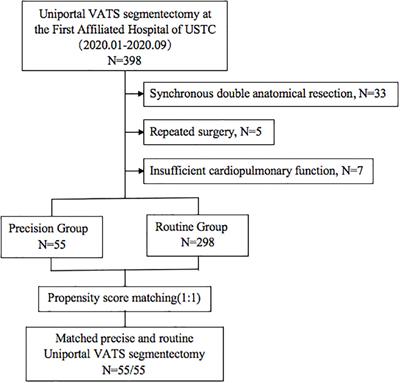 Comparison of Perioperative Outcomes Between Precise and Routine Segmentectomy for Patients With Early-Stage Lung Cancer Presenting as Ground-Glass Opacities: A Propensity Score-Matched Study